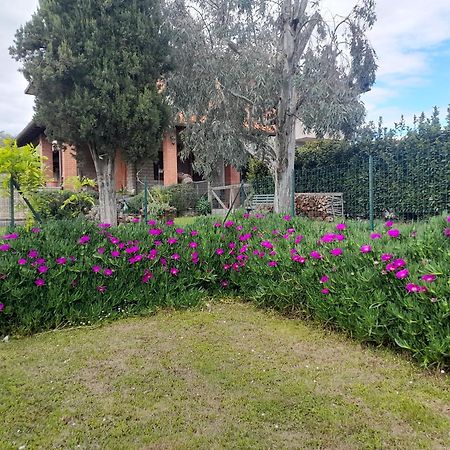 Agriturismo Santa Adriana Volterra Eksteriør bilde