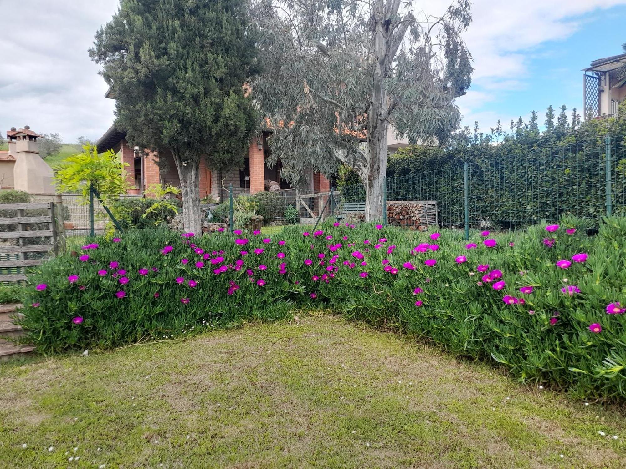 Agriturismo Santa Adriana Volterra Eksteriør bilde